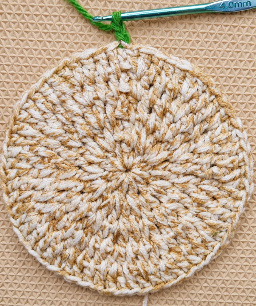 First green chain stitches rising from the edge of the crochet coaster.