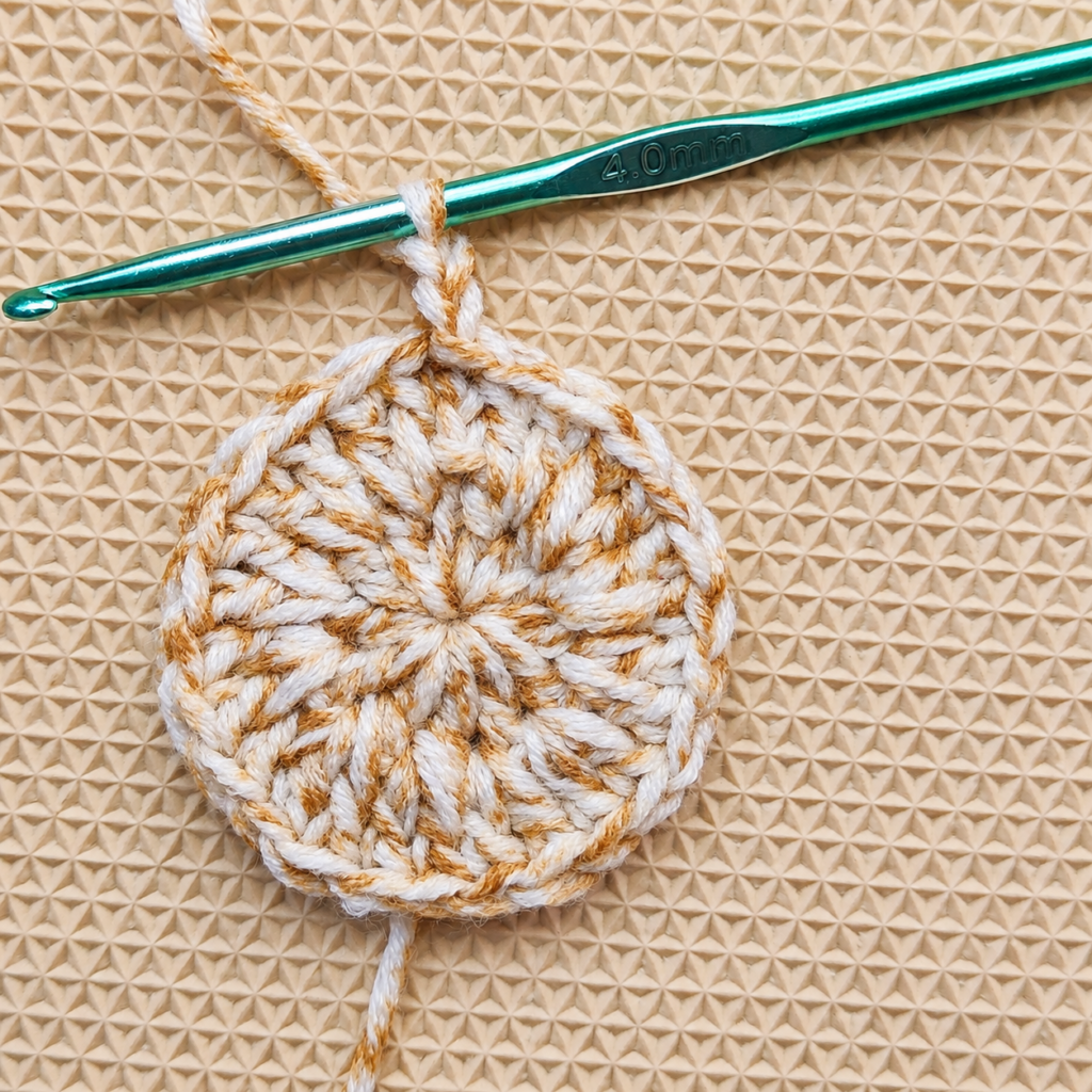 Round 3 beginning with one double crochet followed by an increase.