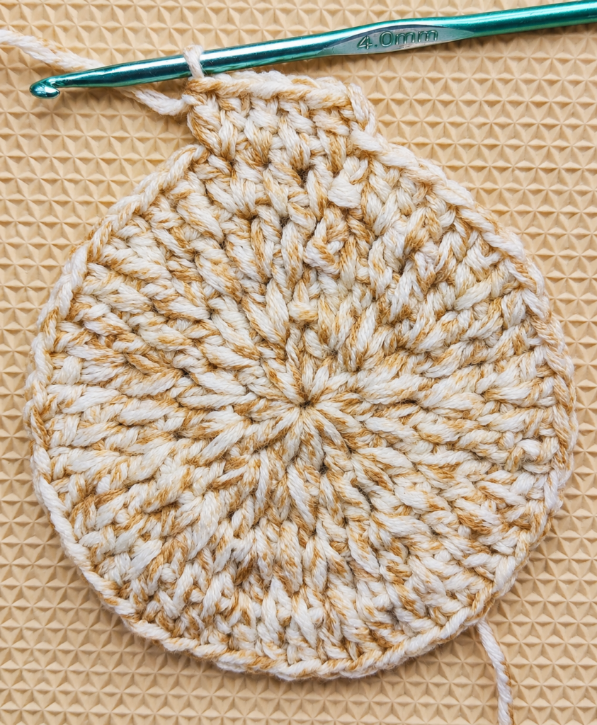 Round 5 double crochet sequence expanding the coaster evenly.