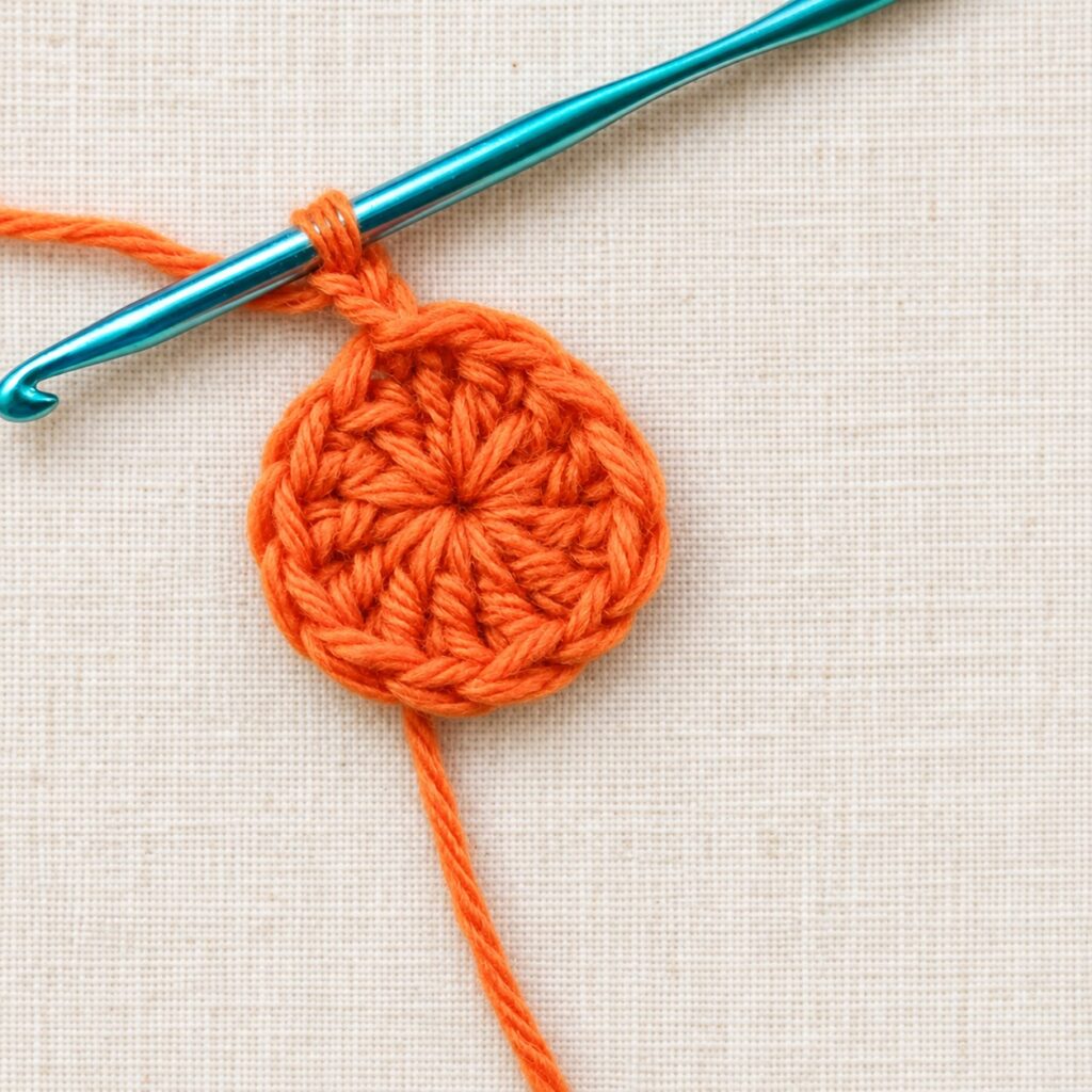 The first round of twelve double crochet stitches worked into the magic circle.